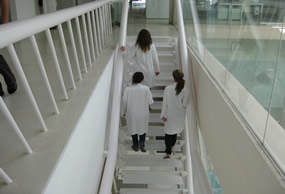 Técnicos de ainia suben unas escaleras del centro tecnológico