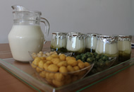 prototipos de cereales y yogures con microalgas