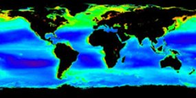 Foto satélite fitoplacton en el mundo (NASA)
