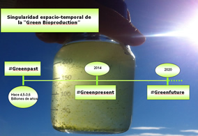 Green Bioproduction