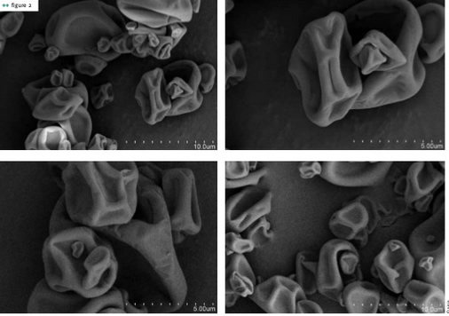 Imágenes de microencapsulado de hierro. Fuente: AINIA Centro Tecnológico