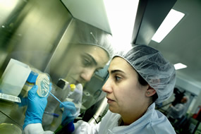 técnico trabajando en el laboratorio de microbiología de AINIA Centro Tecnológico, en el control de alimentos