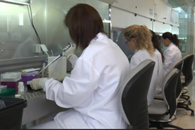 Técnicos del laboratorio de bioensayos de AINIA Centro Tecnológico, en un control de alimentos