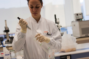 Analista trabajando en el laboratorio de bioensayos de AINIA Centro Tecnológico, en la identificación de microorganismos