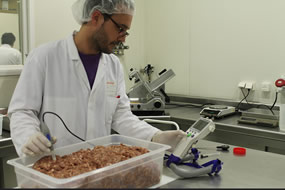 Un técnico de AINIA Centro Tecnológico, trabajando en la evaluación de carne picada en la planta piloto de nuevos productos. Un momento del trabajo en el desarrollo de un nuevo producto alimenticio; analizando matrices alimentarias y estabilización de ingredientes