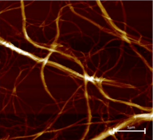 Fibras de celulosa observadas mediante un microscopio de fuerza atómica
