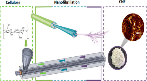 producción celulosa nanofibrilada