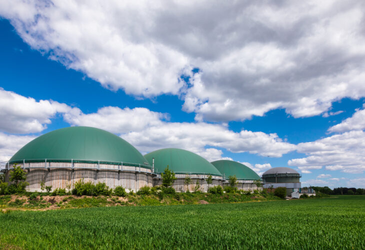 Anaerobic digesters or Biogas plant producing biogas from agricu