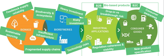 Desafíos y riesgos de la industria biobasada