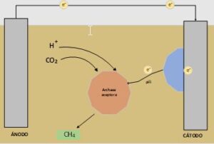 Combinación electrometanogénesis y ruta metabólica DIET